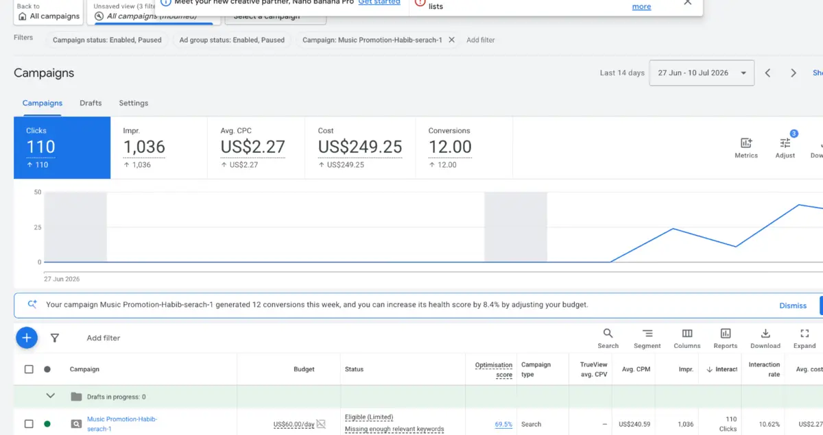 Google Ads campaign dashboard showing clicks, impressions, cost, and conversions